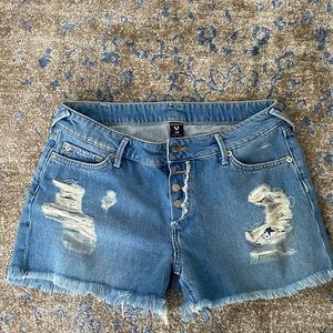 True Religion jean shorts